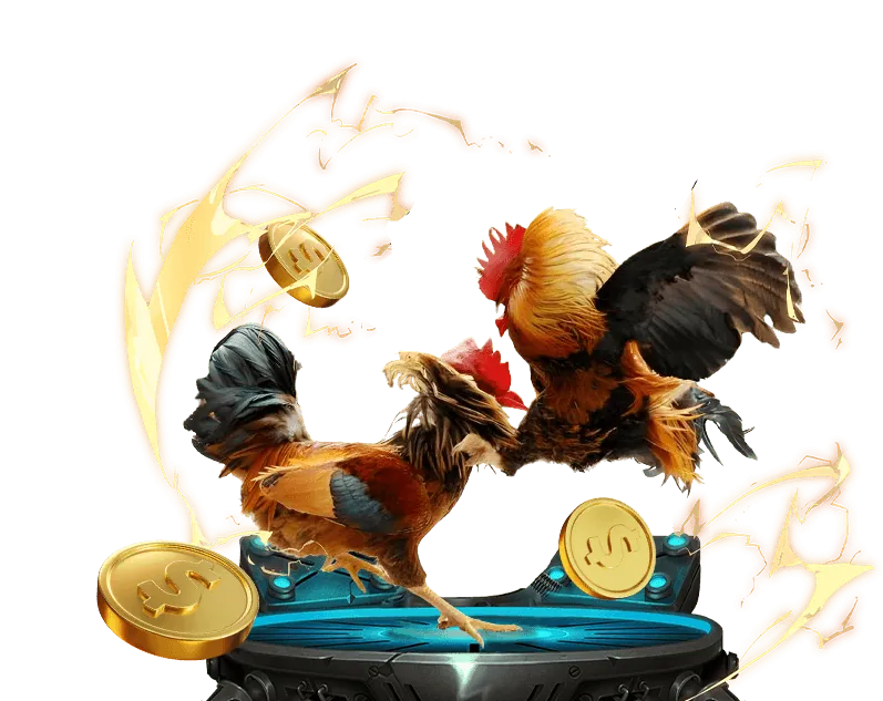 Giới thiệu về DEBET VIN